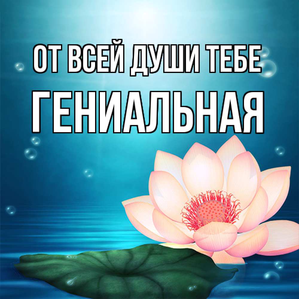 Открытка на каждый день с именем, Гениальная От всей души тебе кувшинка Прикольная открытка с пожеланием онлайн скачать бесплатно 