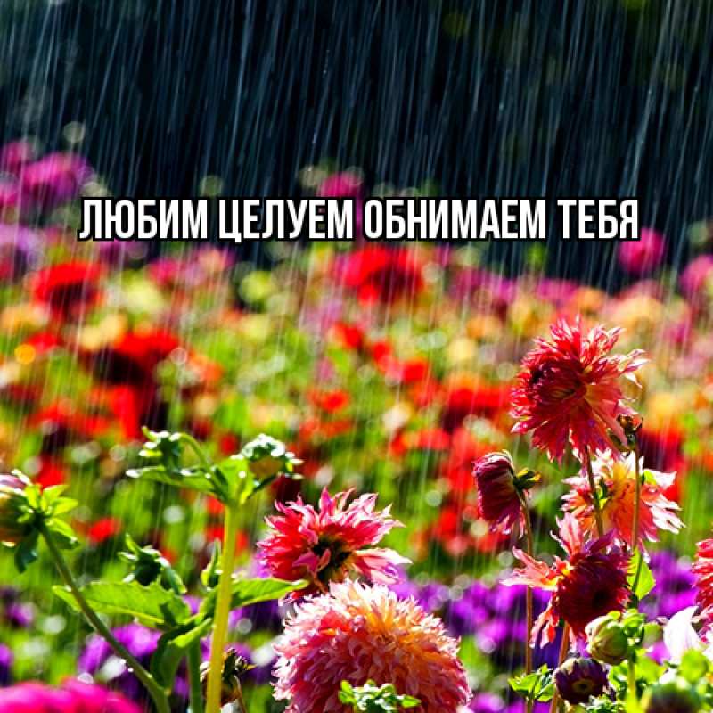 Картинка Люблю тебя, Ненаглядный мой