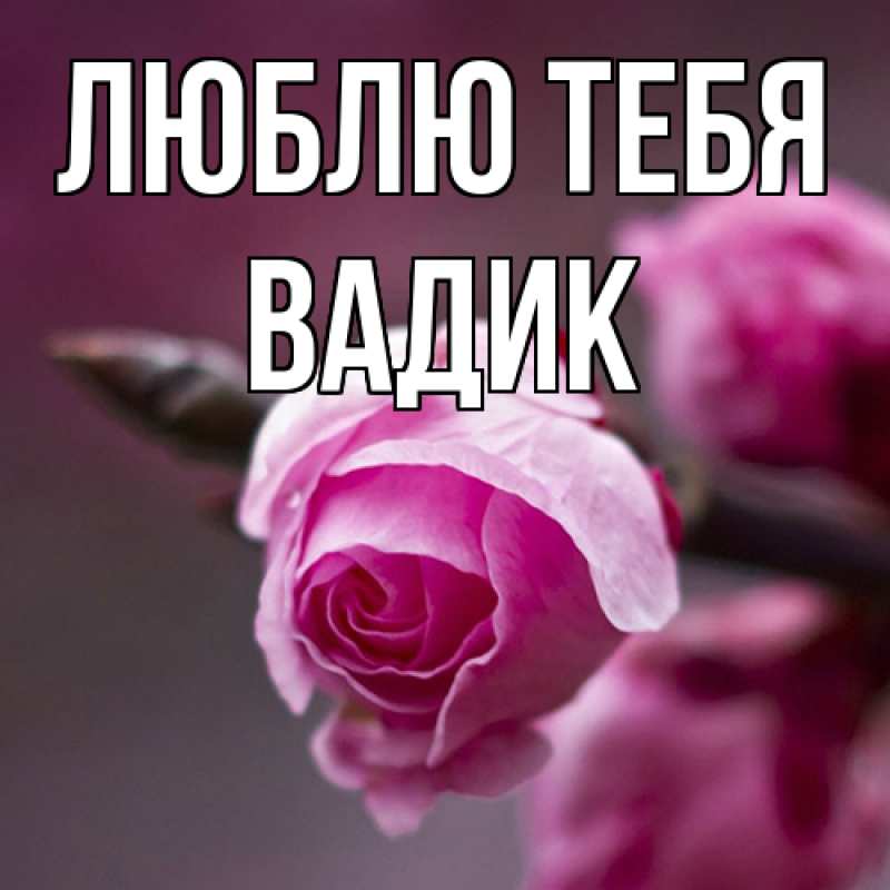 Открытка с именем, Вадик, Люблю тебя