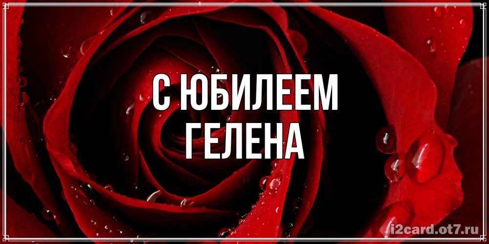 Открытка на каждый день с именем, Гелена C юбилеем крупная бордовая роза Прикольная открытка с пожеланием онлайн скачать бесплатно 