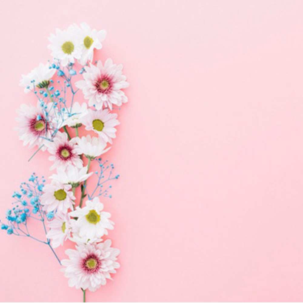 Открытка на каждый день с именем, Ивона С хорошим утром цветы с подписью Прикольная открытка с пожеланием онлайн скачать бесплатно 