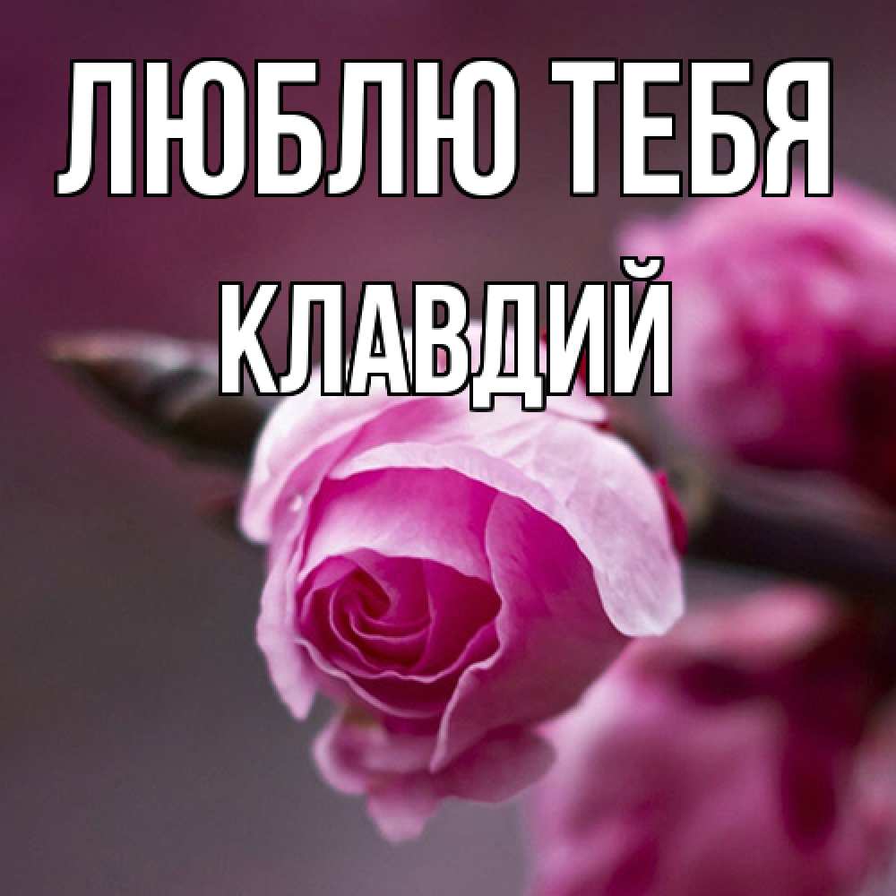 Открытка на каждый день с именем, Клавдий Люблю тебя весна Прикольная открытка с пожеланием онлайн скачать бесплатно 