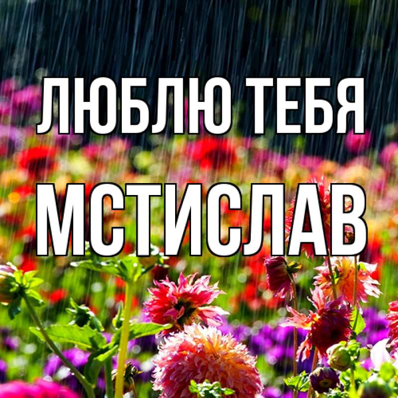 Картинка Люблю тебя, Мстислав