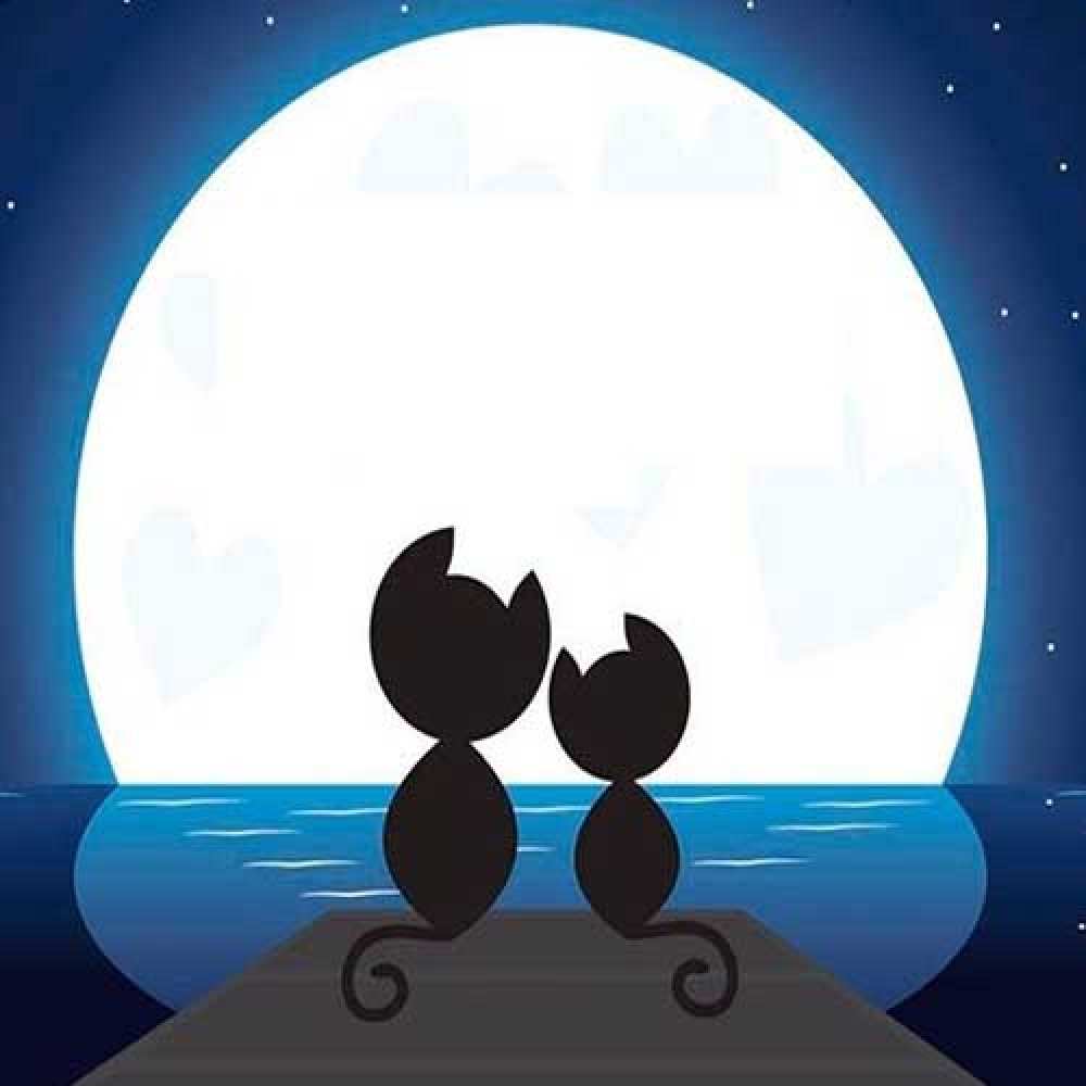 Открытка на каждый день с именем, Дарина Доброй ночи луна море мост Прикольная открытка с пожеланием онлайн скачать бесплатно 