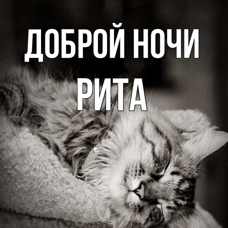 Картинка Доброй ночи, Рита