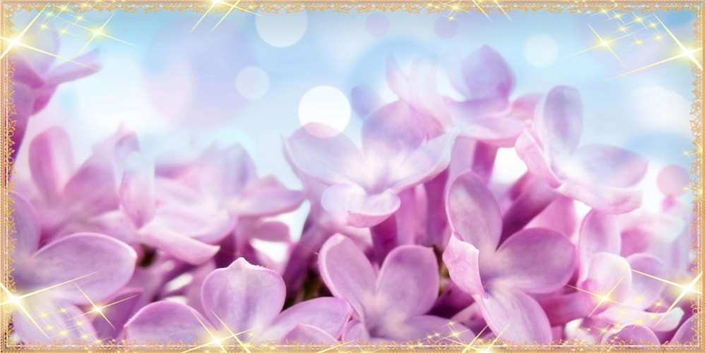Открытка на каждый день с именем, Альфия Люблю тебя открытка на международный женский день с цветами Прикольная открытка с пожеланием онлайн скачать бесплатно 