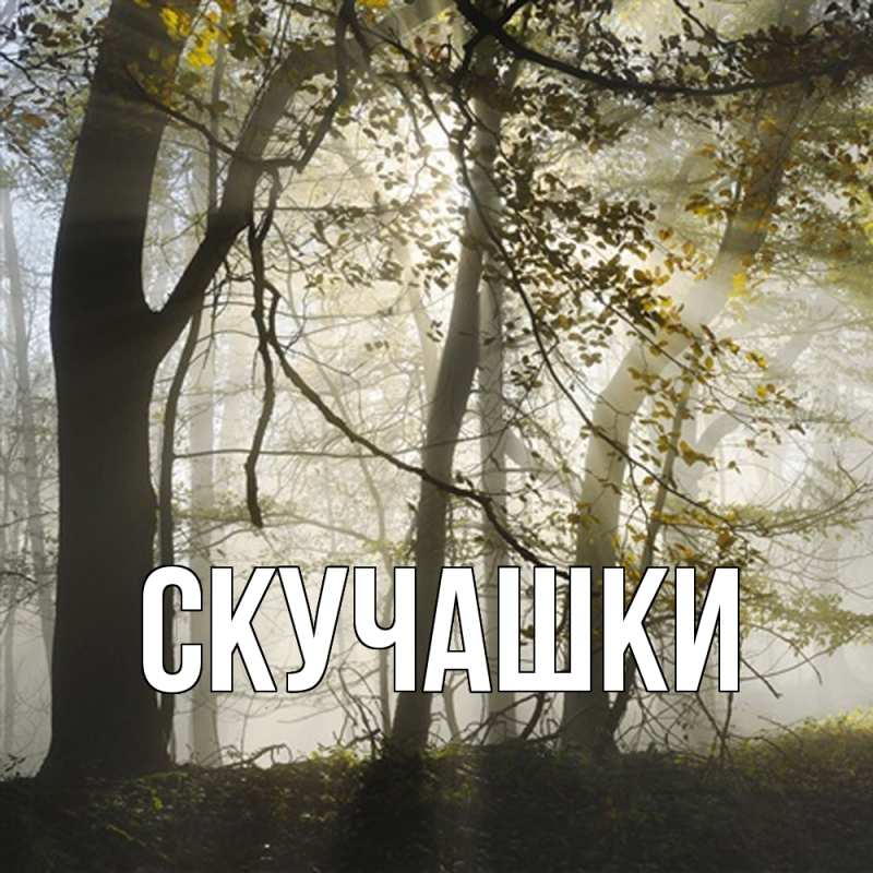 Картинка Скучашки, 