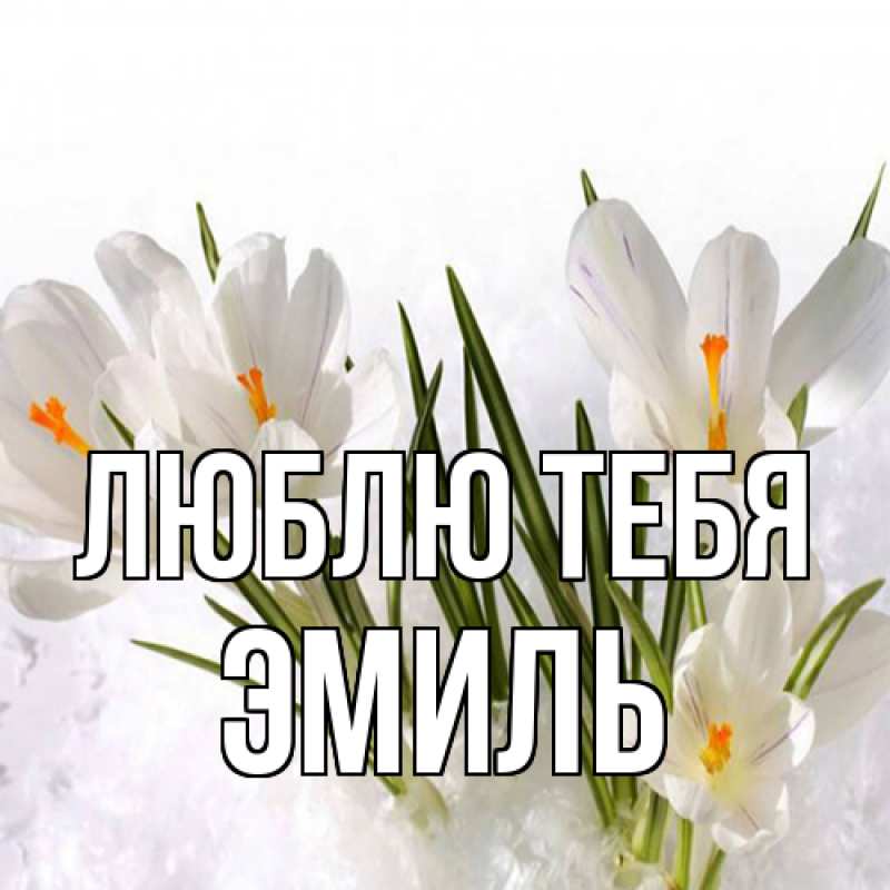 Картинка Люблю тебя, Эмиль