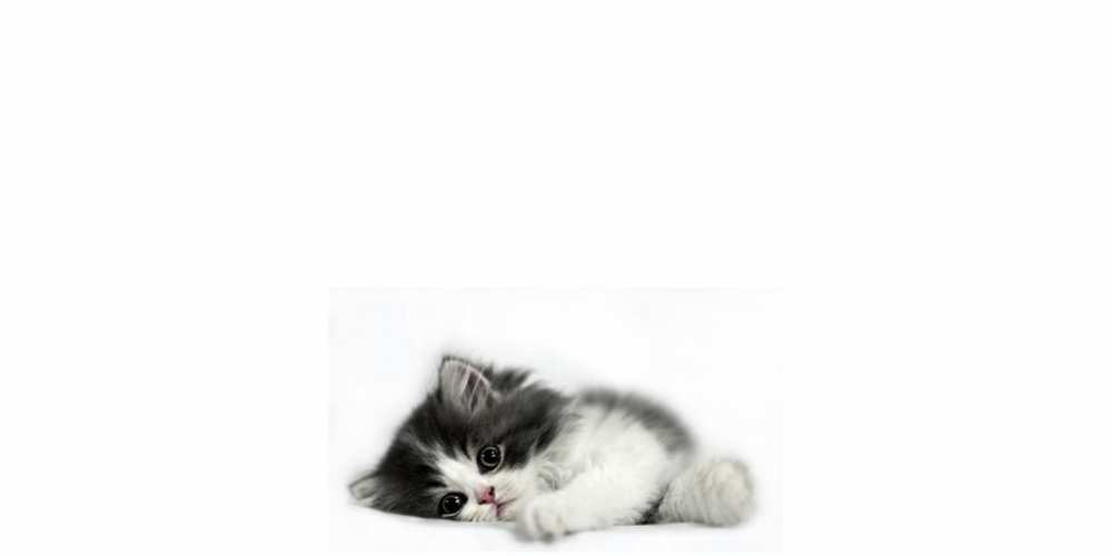 Открытка на каждый день с именем, Карен Скучашки кот, скука Прикольная открытка с пожеланием онлайн скачать бесплатно 