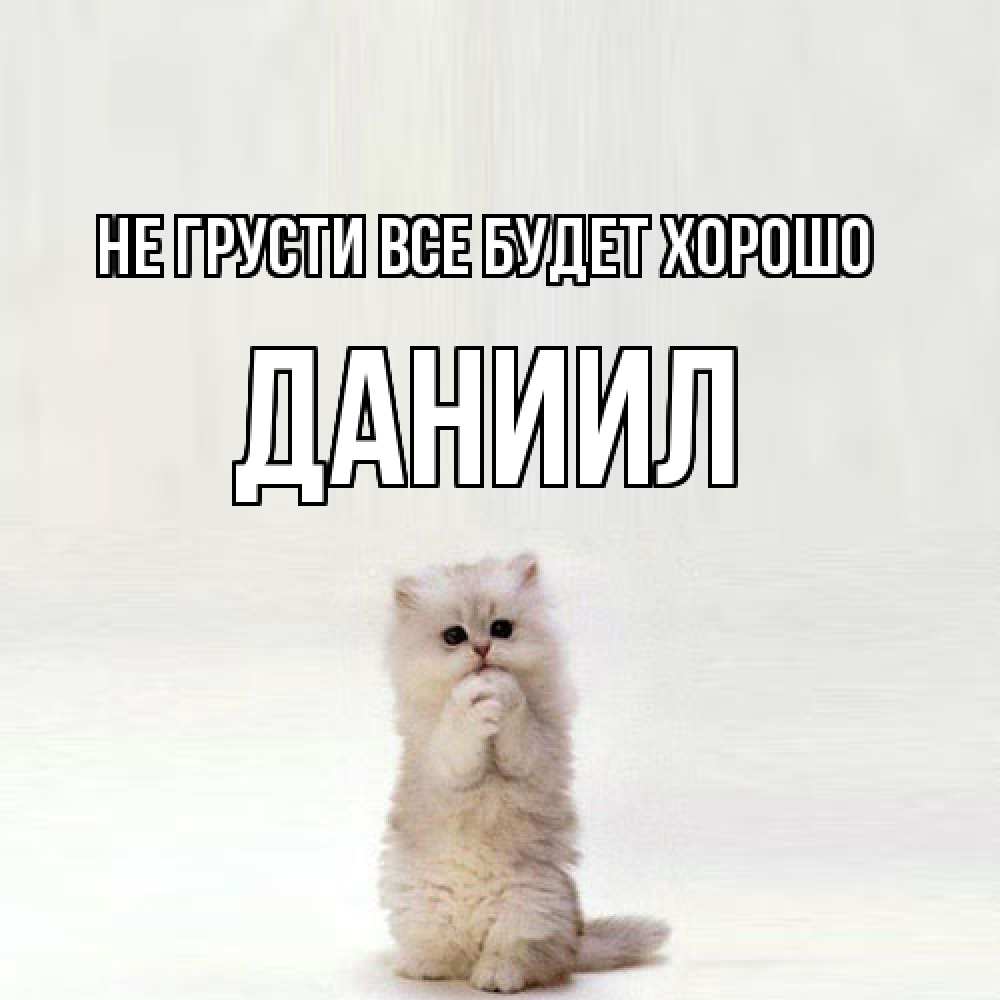 Открытка на каждый день с именем, Даниил Не грусти все будет хорошо грустный кот Прикольная открытка с пожеланием онлайн скачать бесплатно 