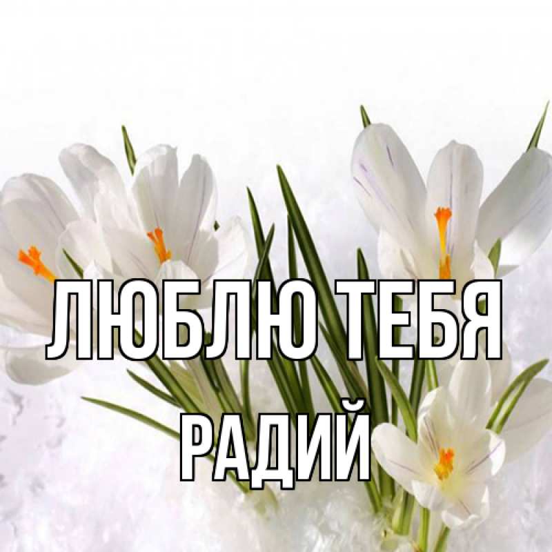 Картинка Люблю тебя, Радий