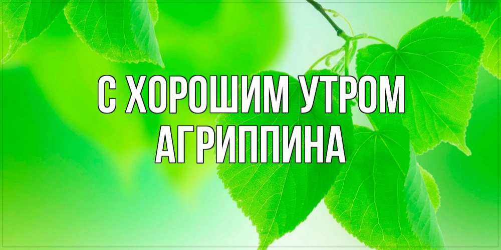 Открытка на каждый день с именем, Агриппина С хорошим утром доброе утро с березовыми листьями Прикольная открытка с пожеланием онлайн скачать бесплатно 