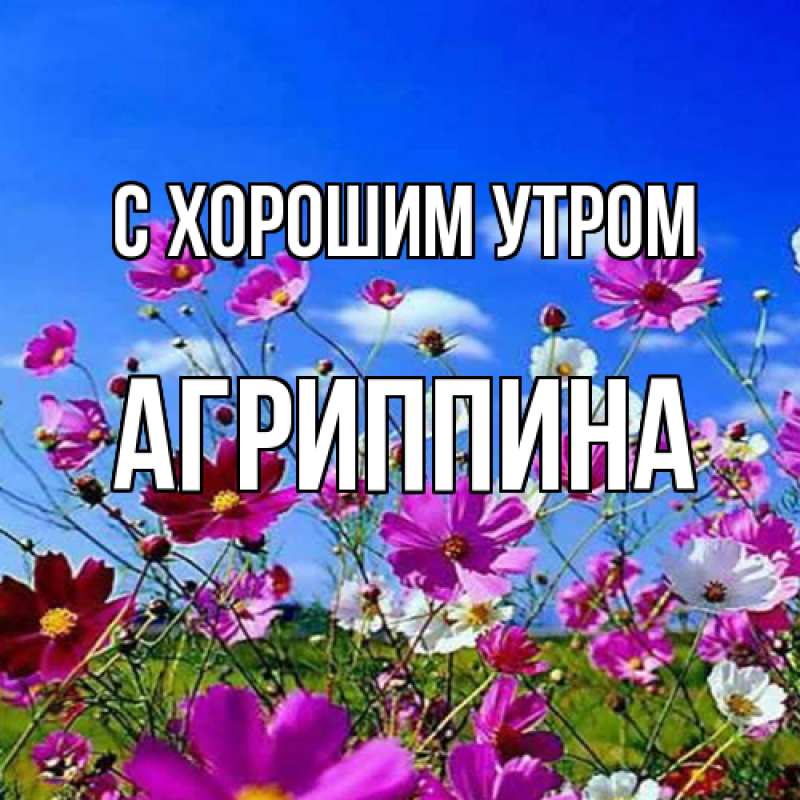 Картинка С хорошим утром, Агриппина