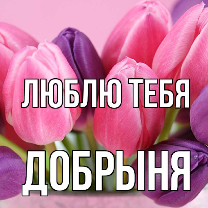 Картинка Люблю тебя, Добрыня