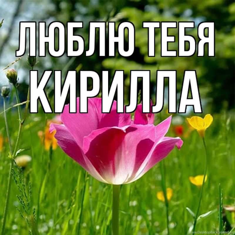 Открытка с именем, Кирилла, Люблю тебя