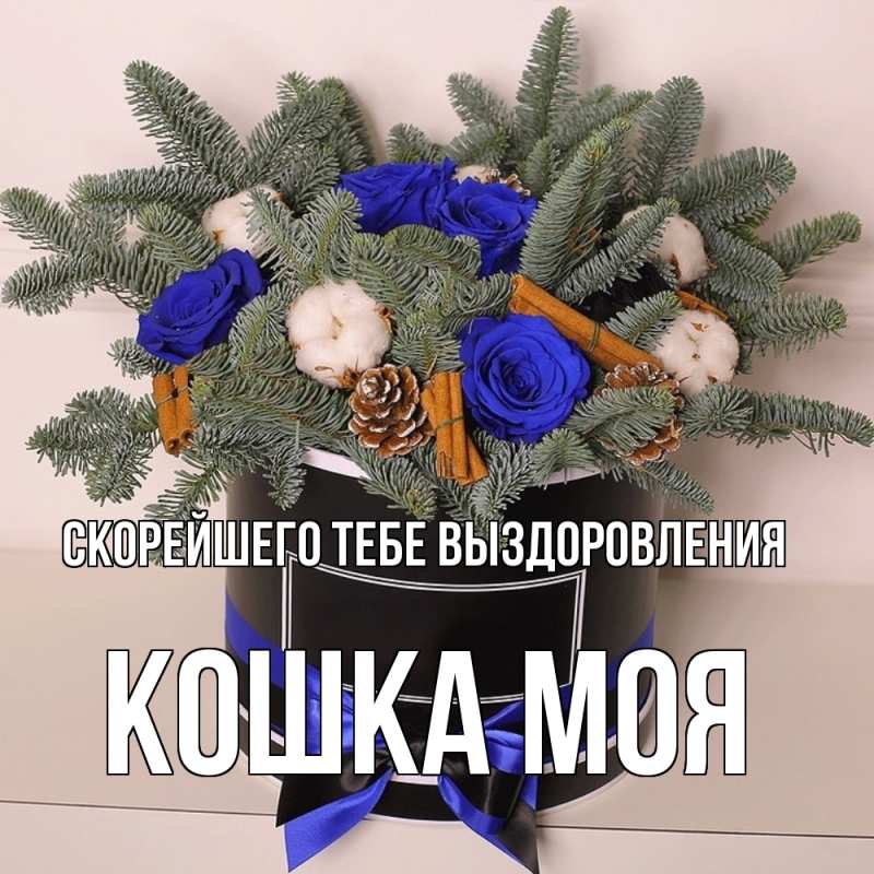 Открытка с именем, Кошка моя, Скорейшего тебе выздоровления