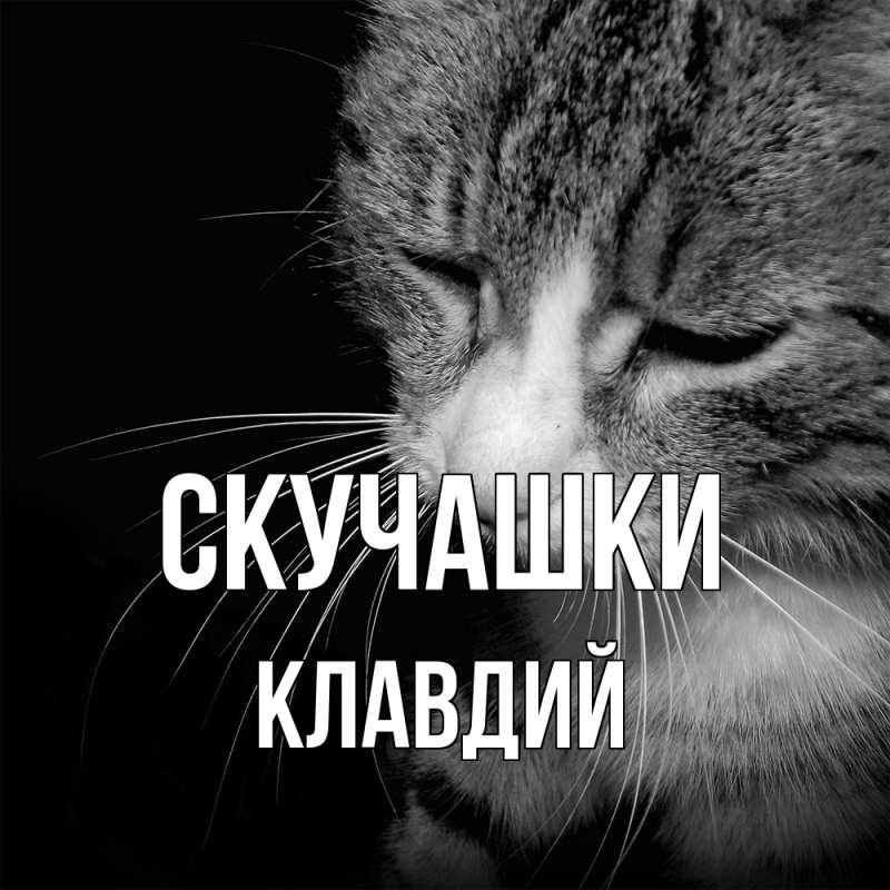 Картинка Скучашки, Клавдий