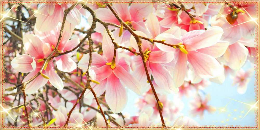 Открытка на каждый день с именем, Нисон Люблю тебя цветы деревьев на 8 марта Прикольная открытка с пожеланием онлайн скачать бесплатно 