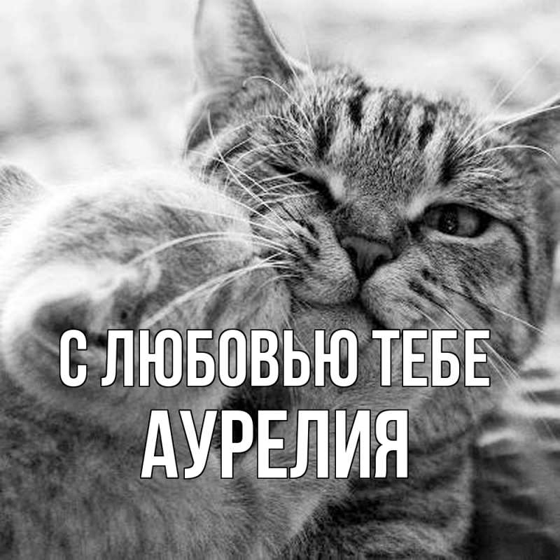 Картинка С любовью тебе, Аурелия