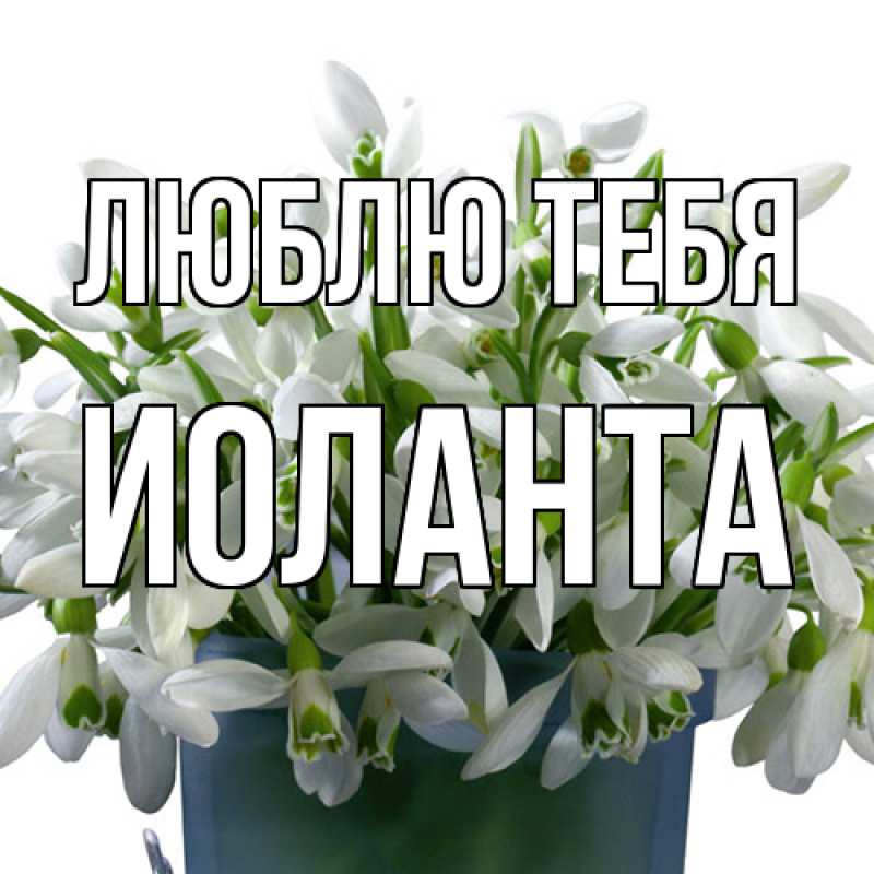 Картинка Люблю тебя, Иоланта