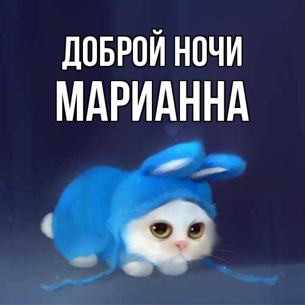 Открытка на каждый день с именем, Марианна Доброй ночи кот в голубом костюме кролика с ушками Прикольная открытка с пожеланием онлайн скачать бесплатно 