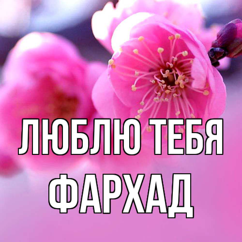 Открытка на каждый день с именем, Фархад Люблю тебя международный женский день Прикольная открытка с пожеланием онлайн скачать бесплатно 