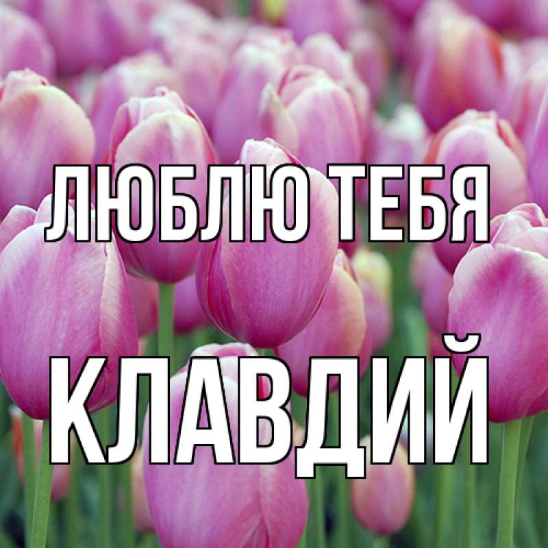 Картинка Люблю тебя, Клавдий