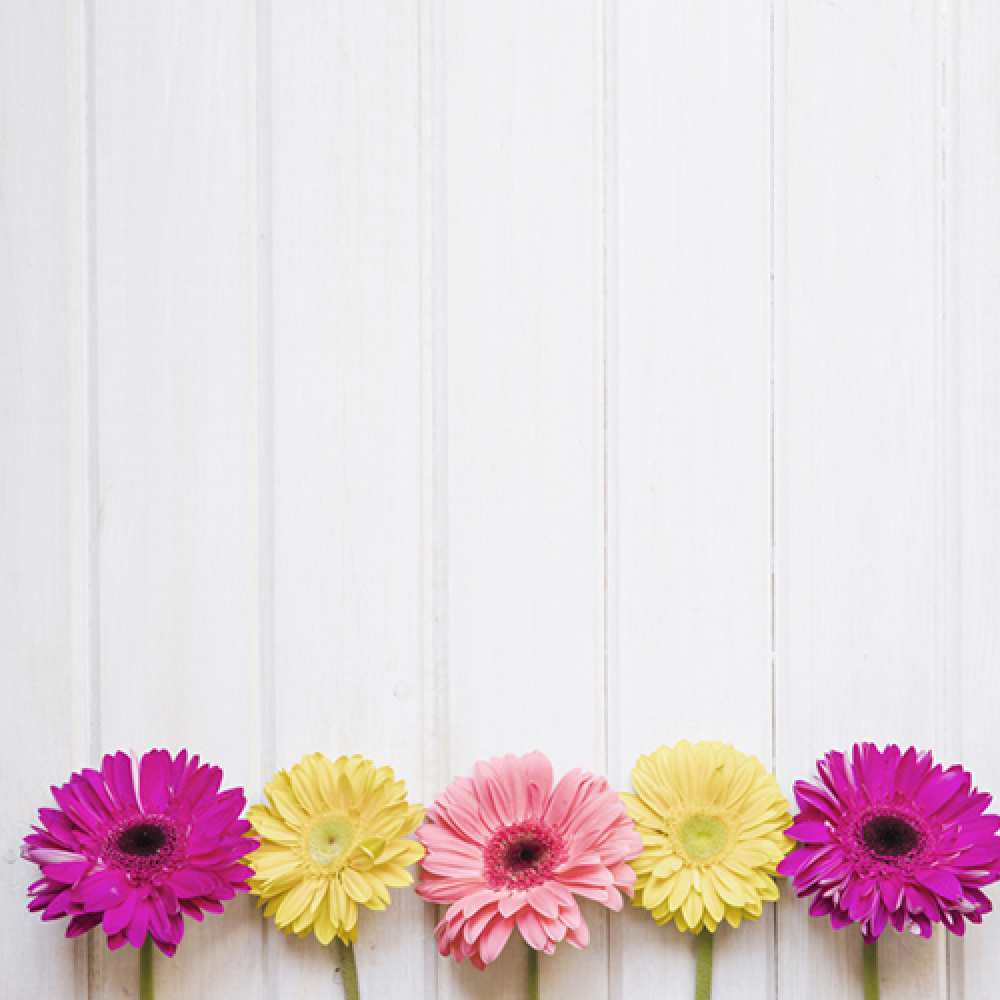 Открытка на каждый день с именем, Аполлинарий С хорошим утром красный желтый и розовый цветок Прикольная открытка с пожеланием онлайн скачать бесплатно 