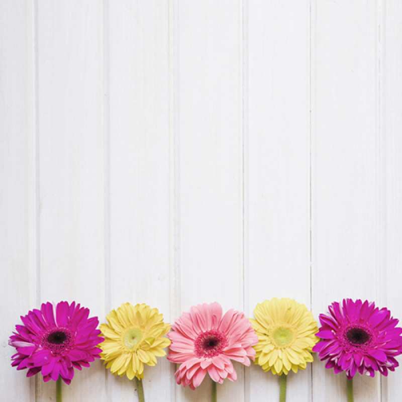 Картинка С хорошим утром, Аполлинарий