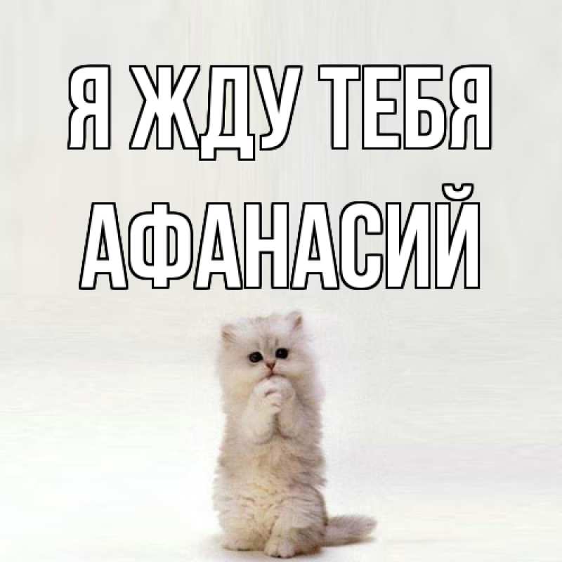 Картинка Я жду тебя, Афанасий