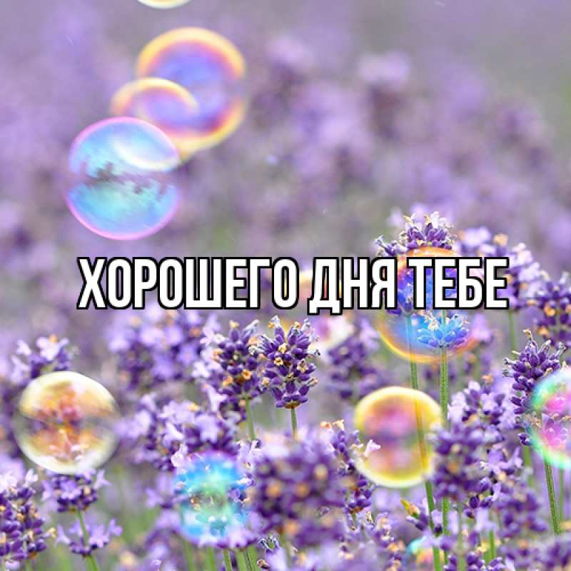 Картинка Люблю тебя, Густав