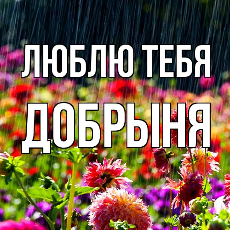 Картинка Люблю тебя, Добрыня