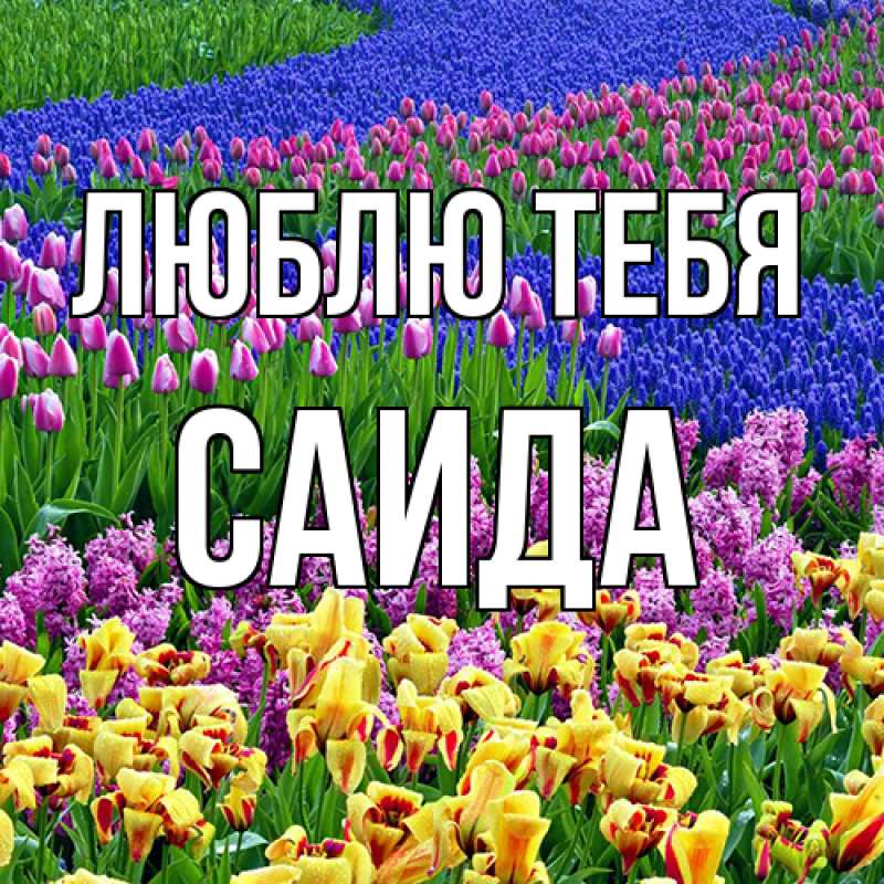 Картинка Люблю тебя, Саида