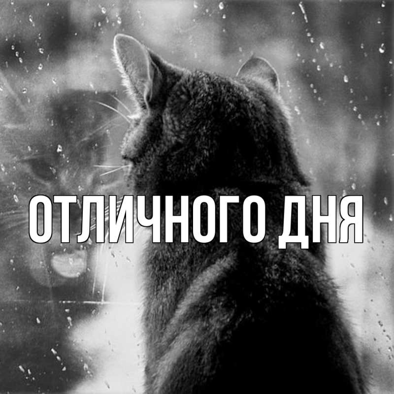 Картинка Скучашки, Вика