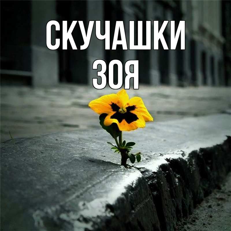 Открытка с именем, Зоя, Скучашки