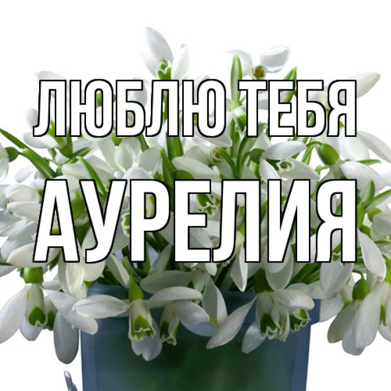 Картинка Люблю тебя, Аурелия