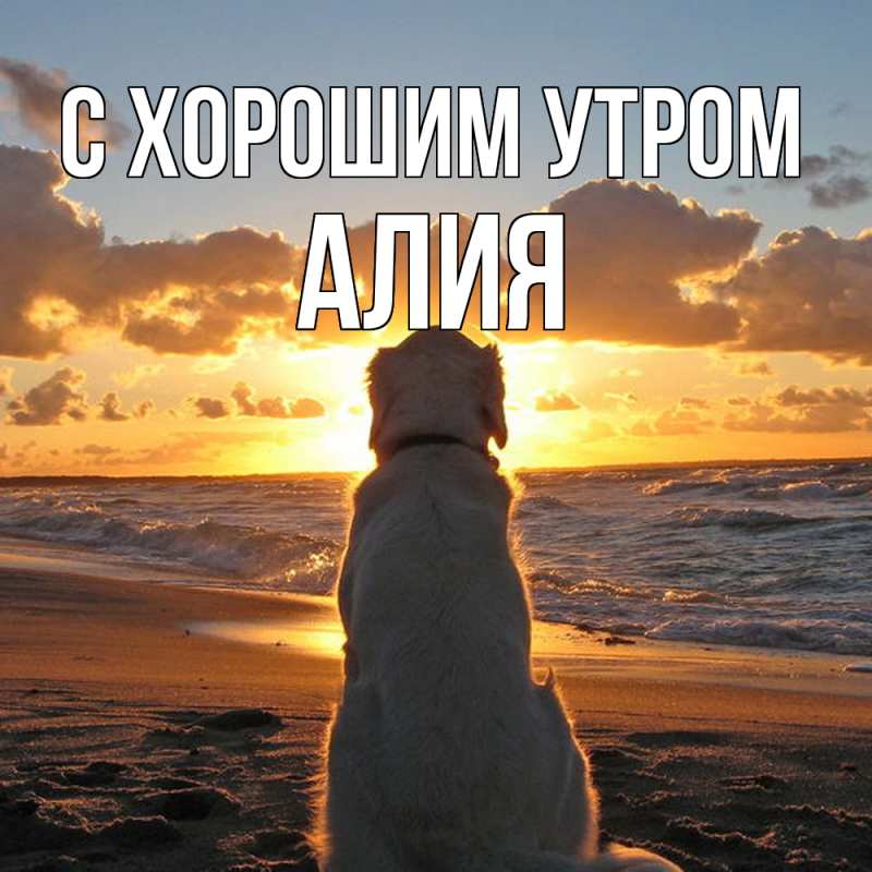 Открытка с именем, Алия, С хорошим утром