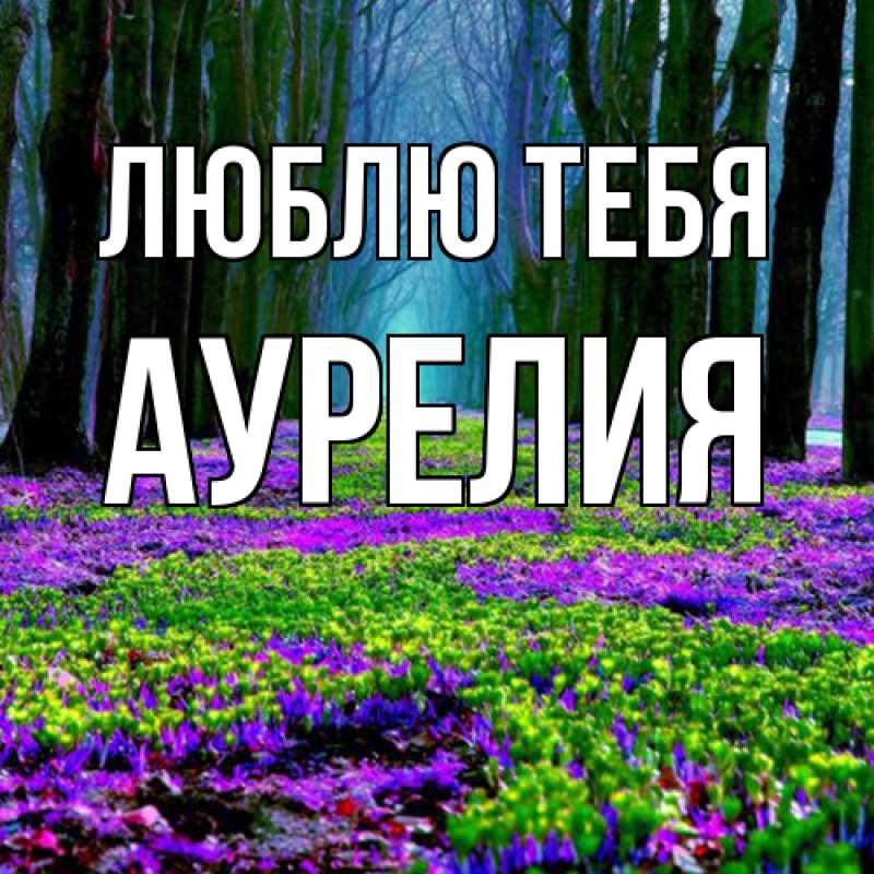 Картинка Люблю тебя, Аурелия