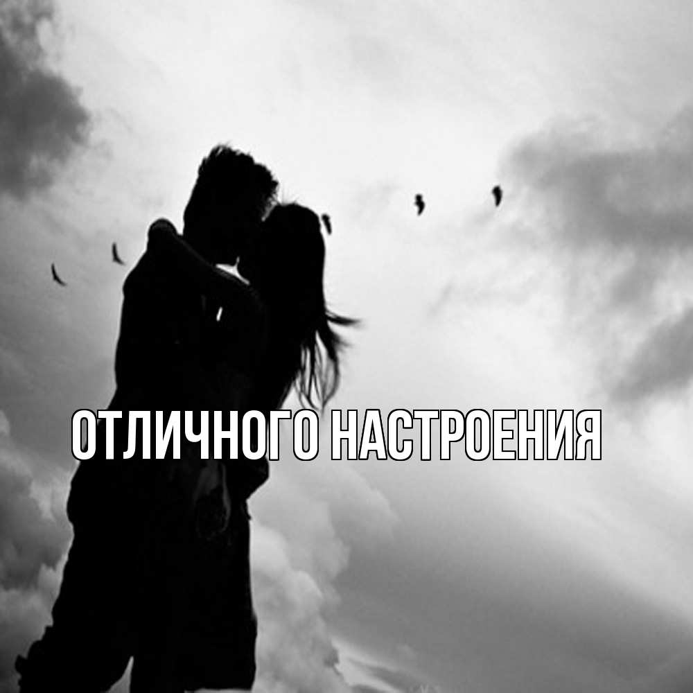 Открытка на каждый день с именем, Констанция Обнимашки летят птицы Прикольная открытка с пожеланием онлайн скачать бесплатно 