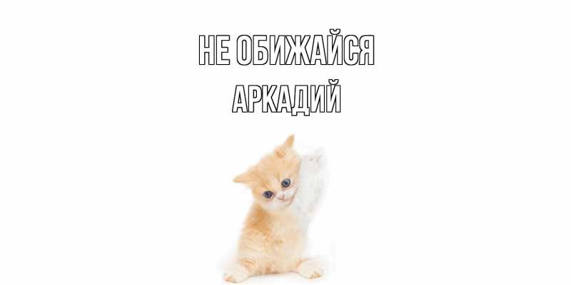Открытка с именем, Аркадий, Не обижайся