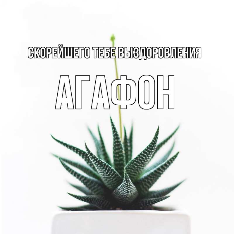 Картинка Скорейшего тебе выздоровления, Агафон