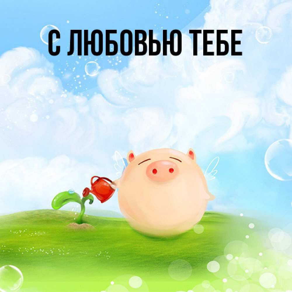 Открытка на каждый день с именем, Моя Я жду тебя позитивная свинюшка Прикольная открытка с пожеланием онлайн скачать бесплатно 