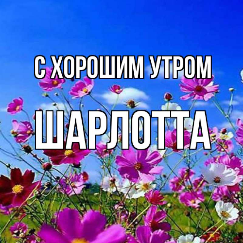 Картинка С хорошим утром, Шарлотта