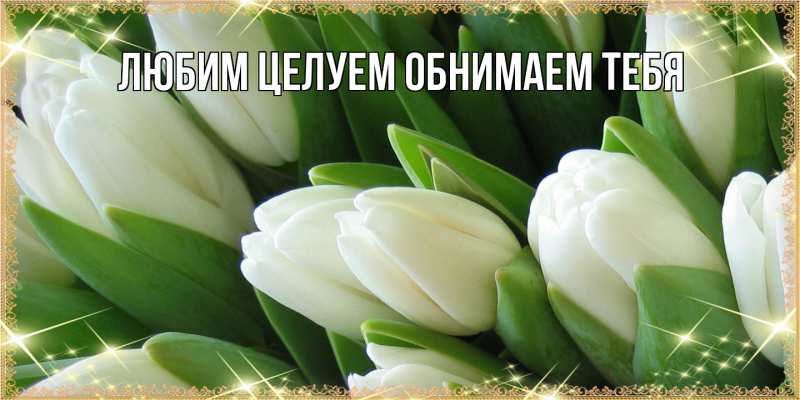 Картинка Люблю тебя, Ненаглядный мой