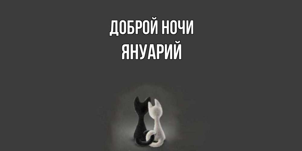 Открытка на каждый день с именем, Януарий Доброй ночи коты Прикольная открытка с пожеланием онлайн скачать бесплатно 