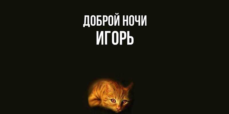 Картинка Доброй ночи, Игорь