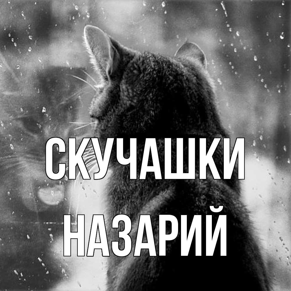 Открытка на каждый день с именем, Назарий Скучашки скорее ко мне приходи 1 Прикольная открытка с пожеланием онлайн скачать бесплатно 