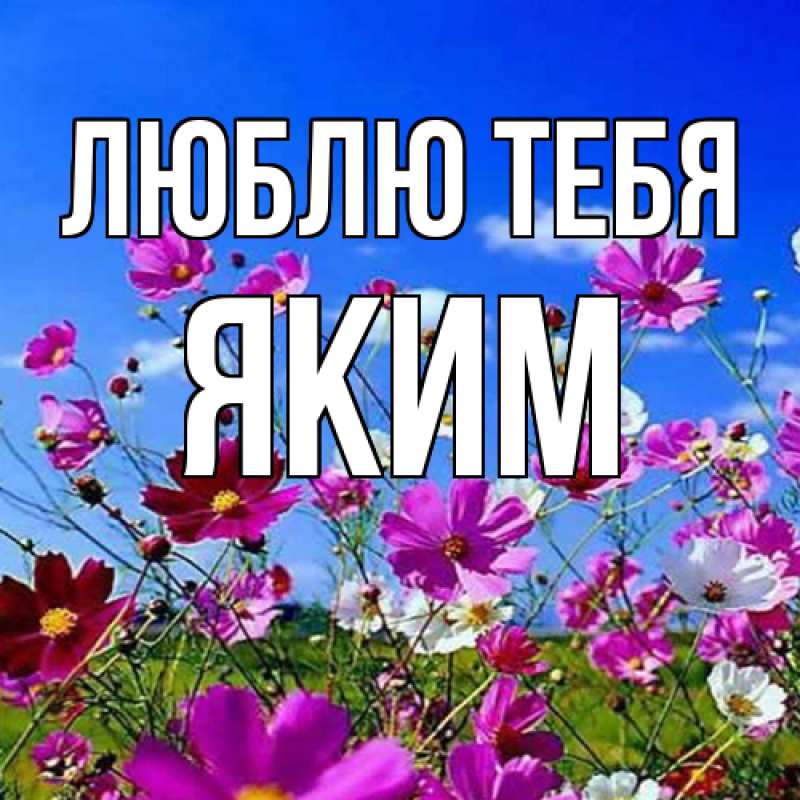 Картинка Люблю тебя, Яким