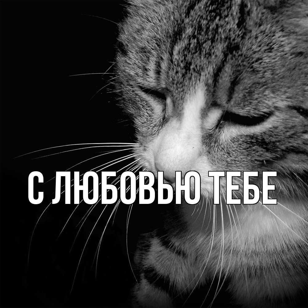 Открытка на каждый день с именем, Фания Скучашки мне скучно Прикольная открытка с пожеланием онлайн скачать бесплатно 