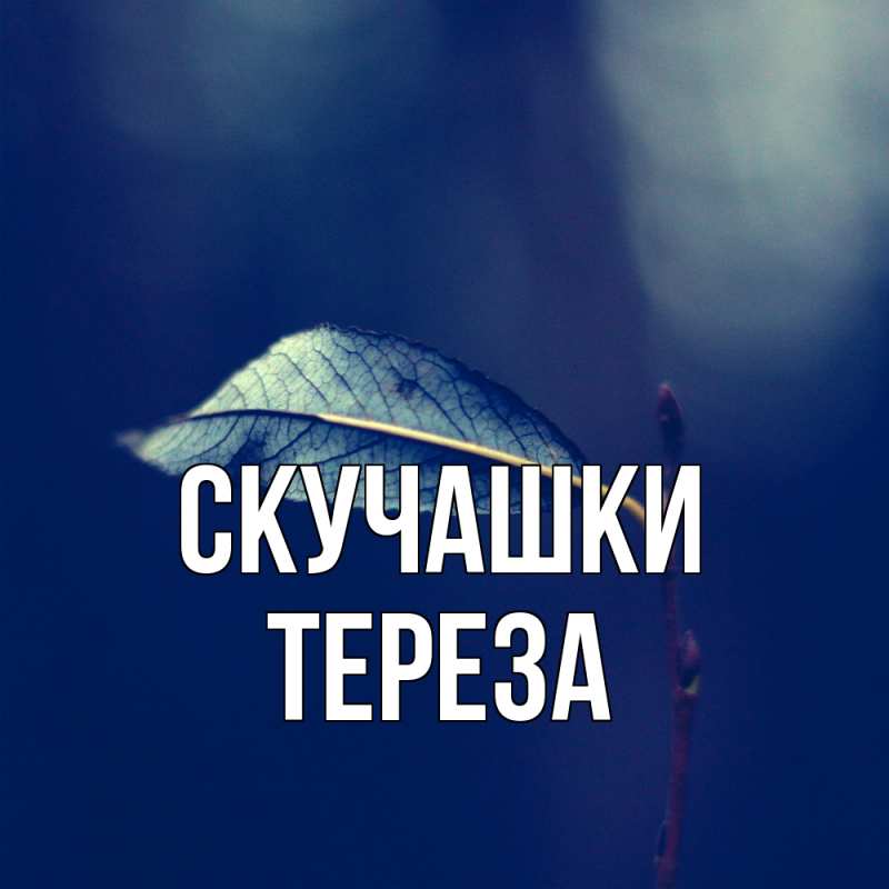 Открытка с именем, Тереза, Скучашки